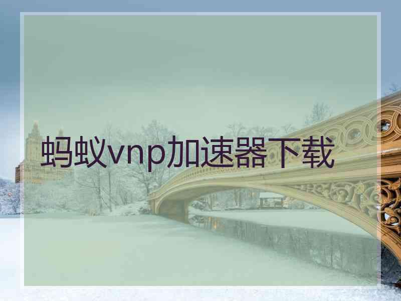 蚂蚁vnp加速器下载