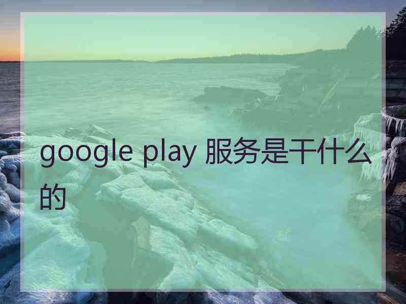 google play 服务是干什么的