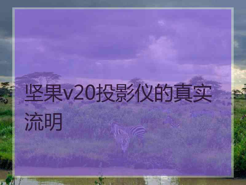 坚果v20投影仪的真实流明