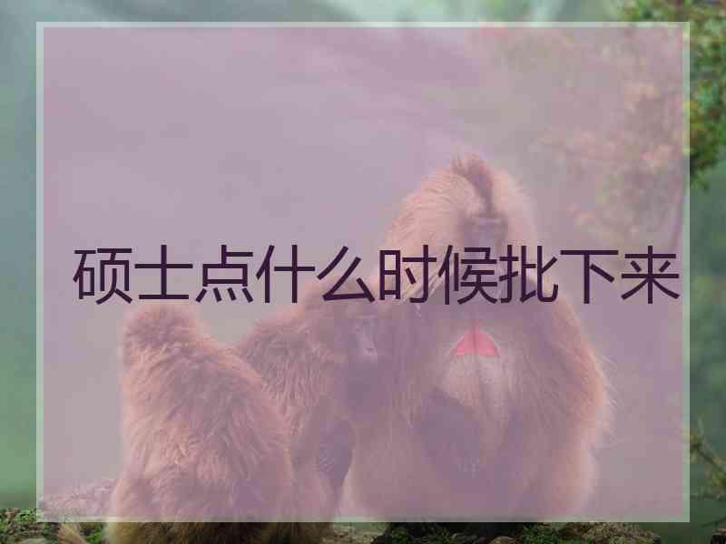 硕士点什么时候批下来