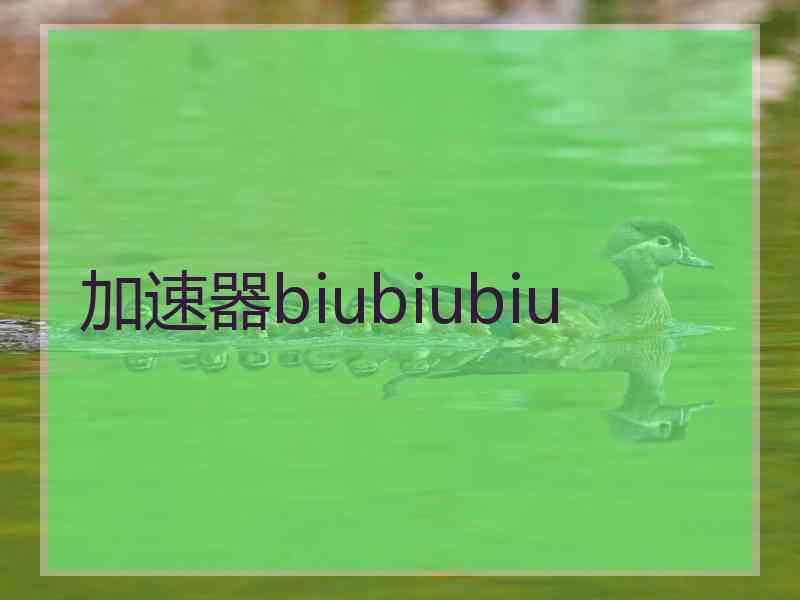 加速器biubiubiu