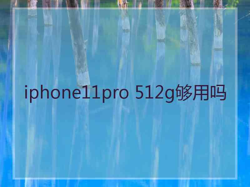 iphone11pro 512g够用吗