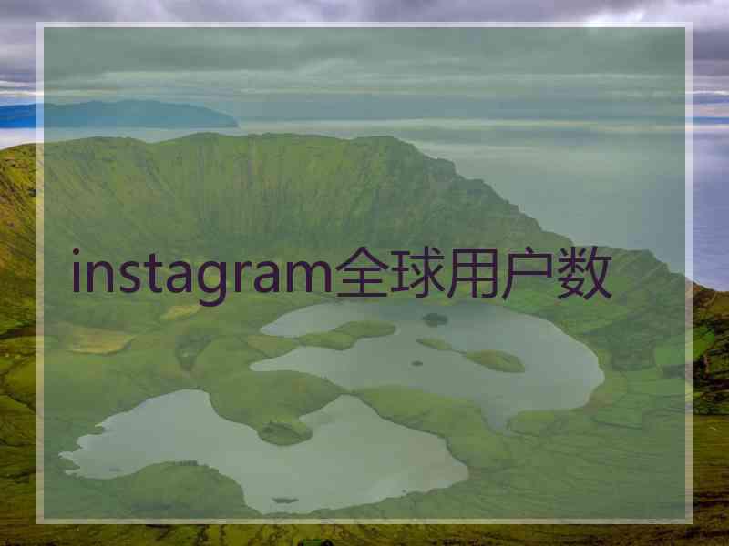 instagram全球用户数