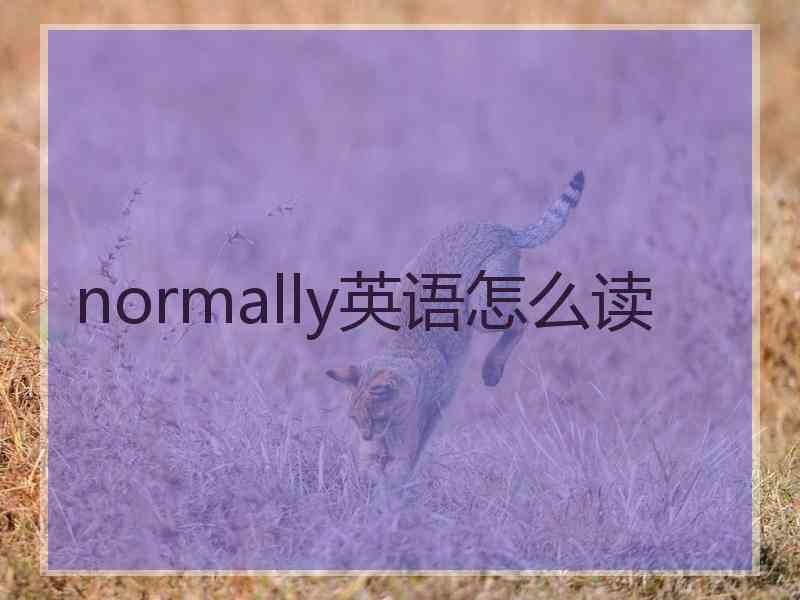 normally英语怎么读