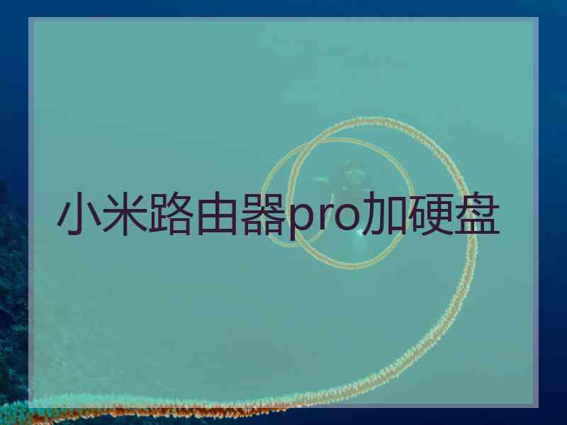 小米路由器pro加硬盘