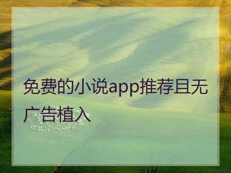 免费的小说app推荐且无广告植入