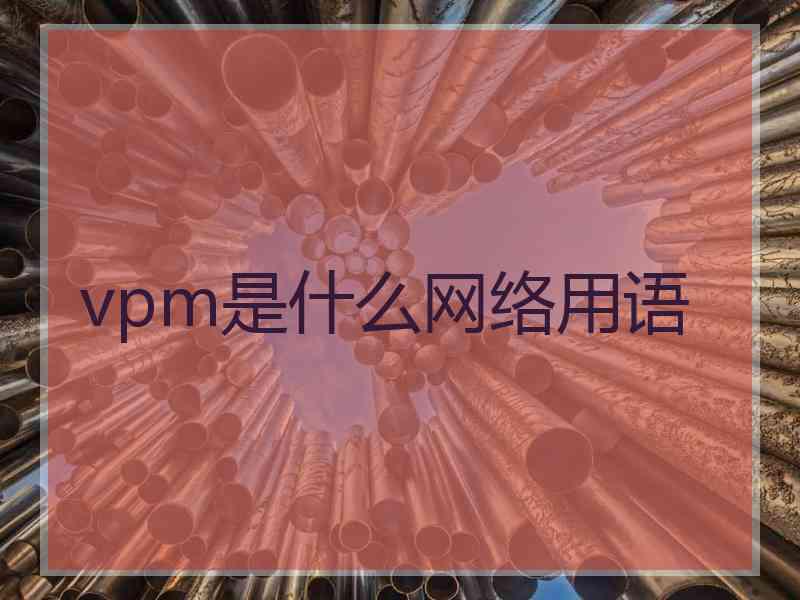 vpm是什么网络用语