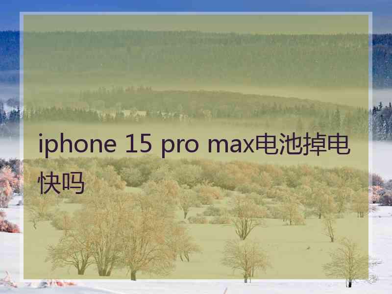 iphone 15 pro max电池掉电快吗