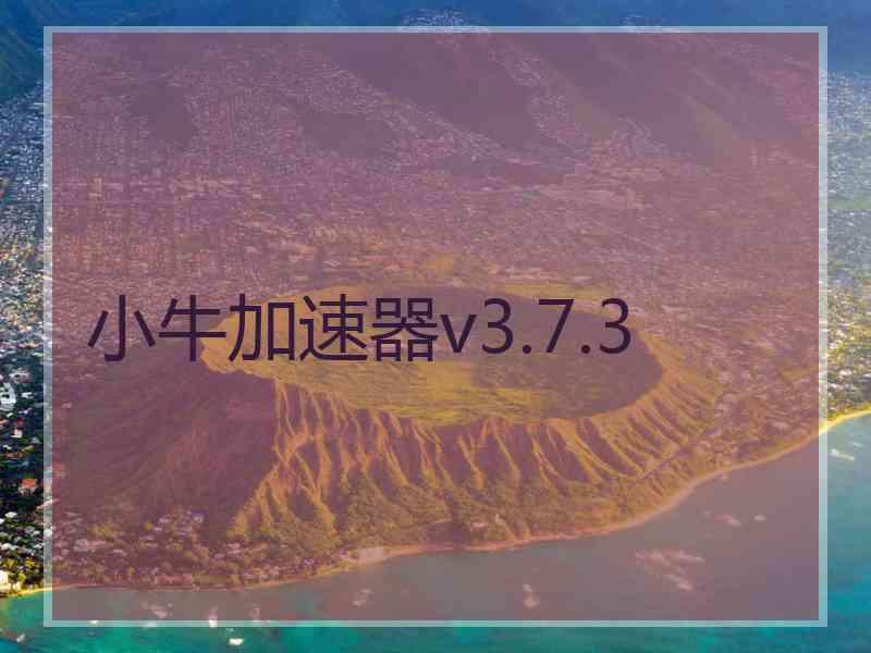 小牛加速器v3.7.3