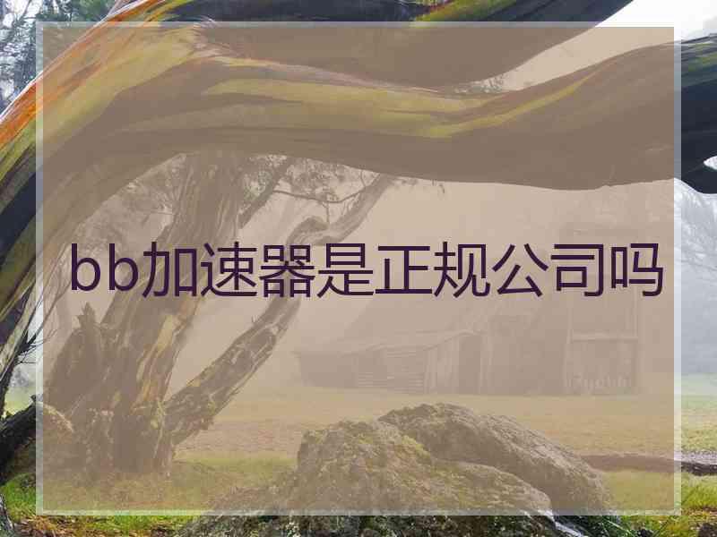 bb加速器是正规公司吗