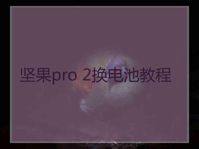 坚果pro 2换电池教程