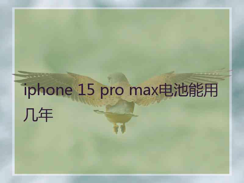 iphone 15 pro max电池能用几年