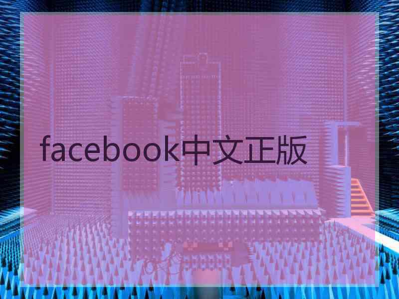 facebook中文正版