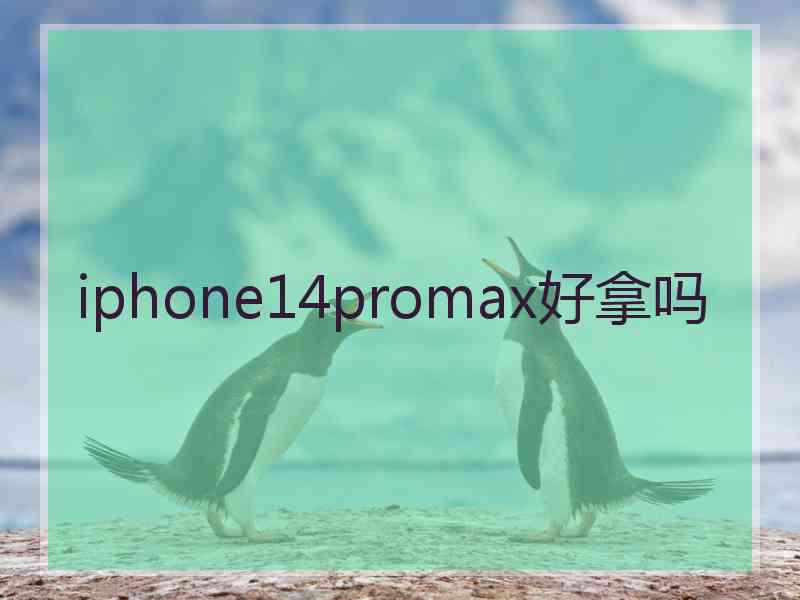 iphone14promax好拿吗