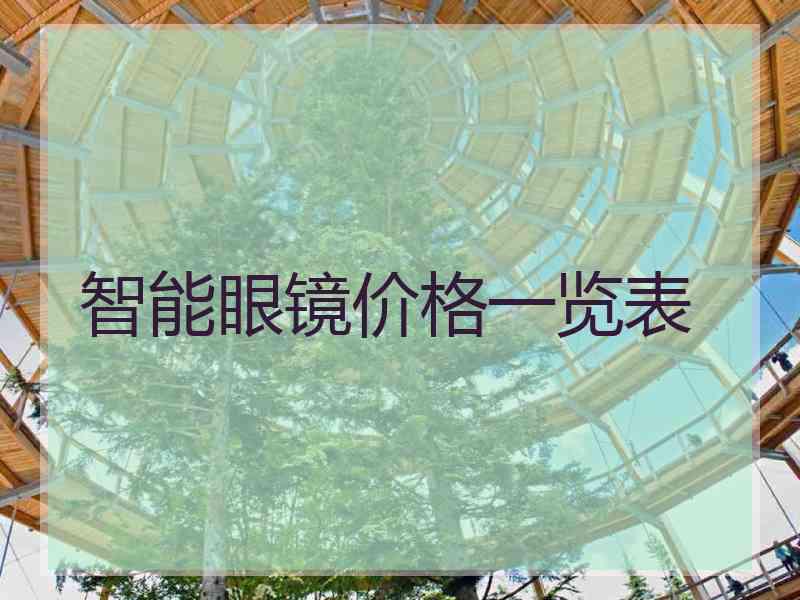 智能眼镜价格一览表