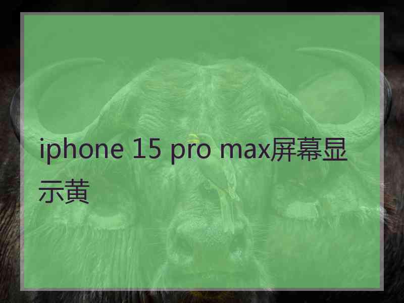 iphone 15 pro max屏幕显示黄