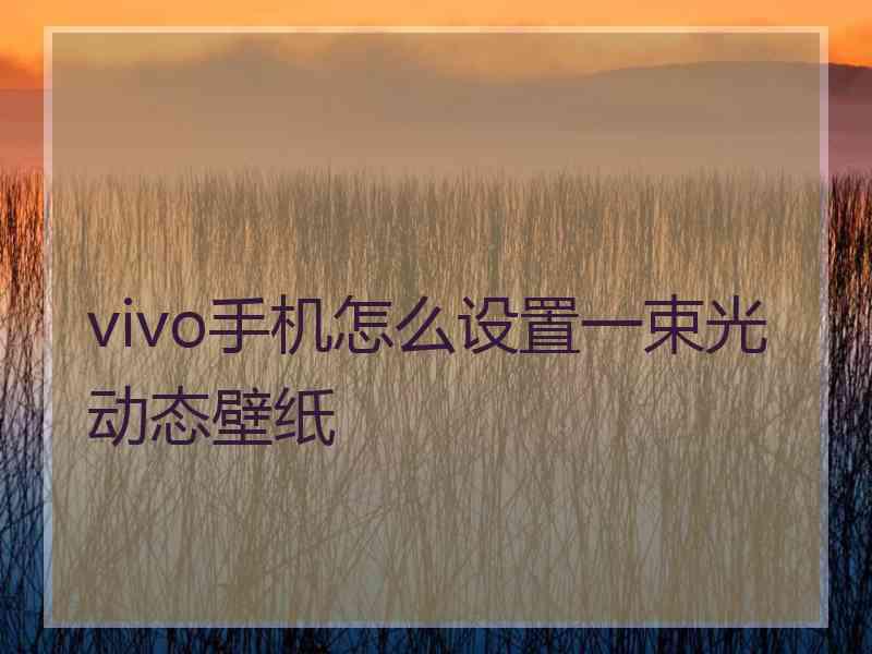 vivo手机怎么设置一束光动态壁纸