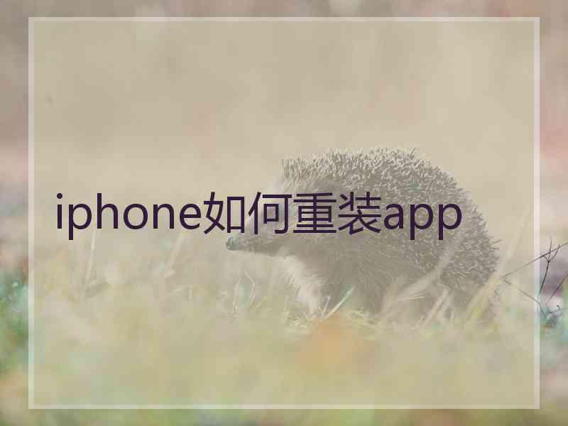 iphone如何重装app