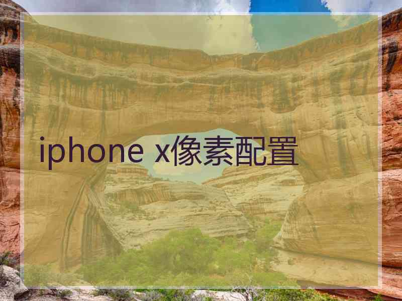 iphone x像素配置