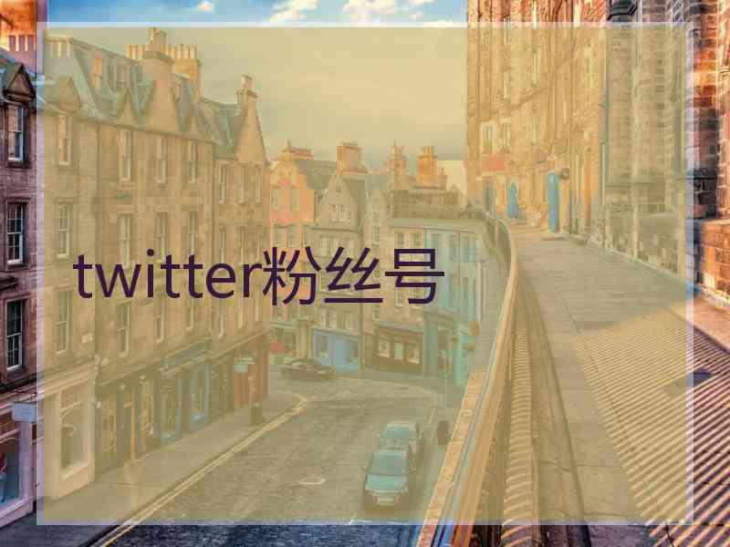 twitter粉丝号