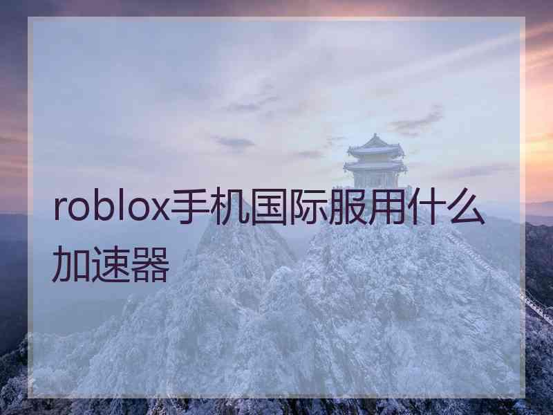 roblox手机国际服用什么加速器