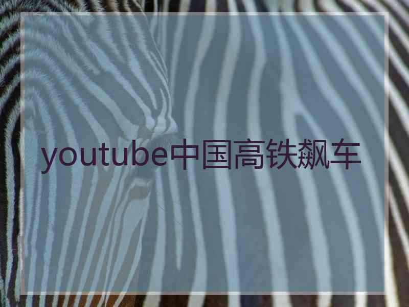 youtube中国高铁飙车