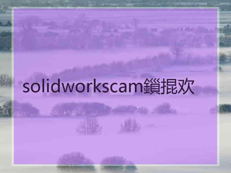 solidworkscam鎻掍欢