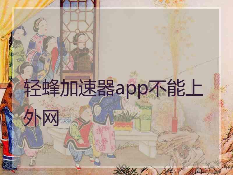 轻蜂加速器app不能上外网