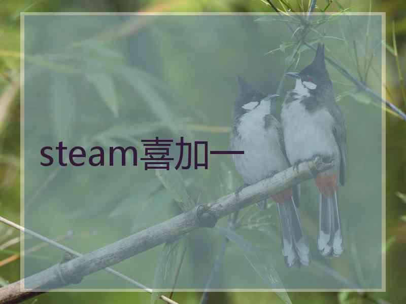 steam喜加一