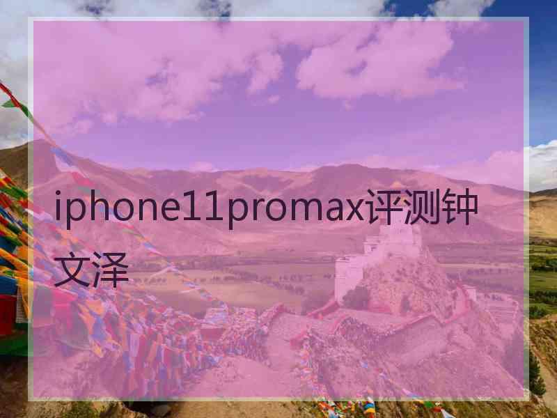 iphone11promax评测钟文泽