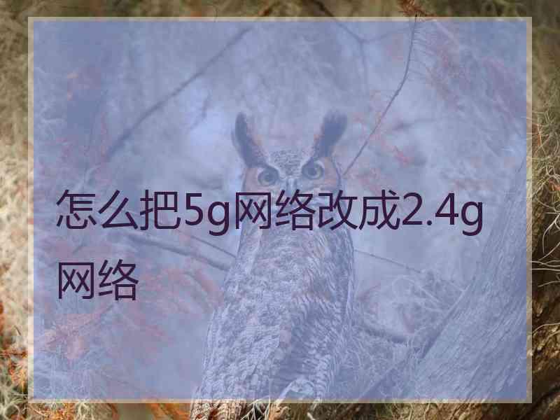 怎么把5g网络改成2.4g网络