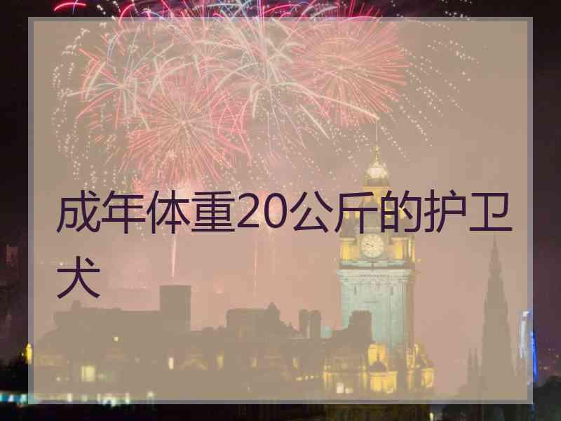 成年体重20公斤的护卫犬