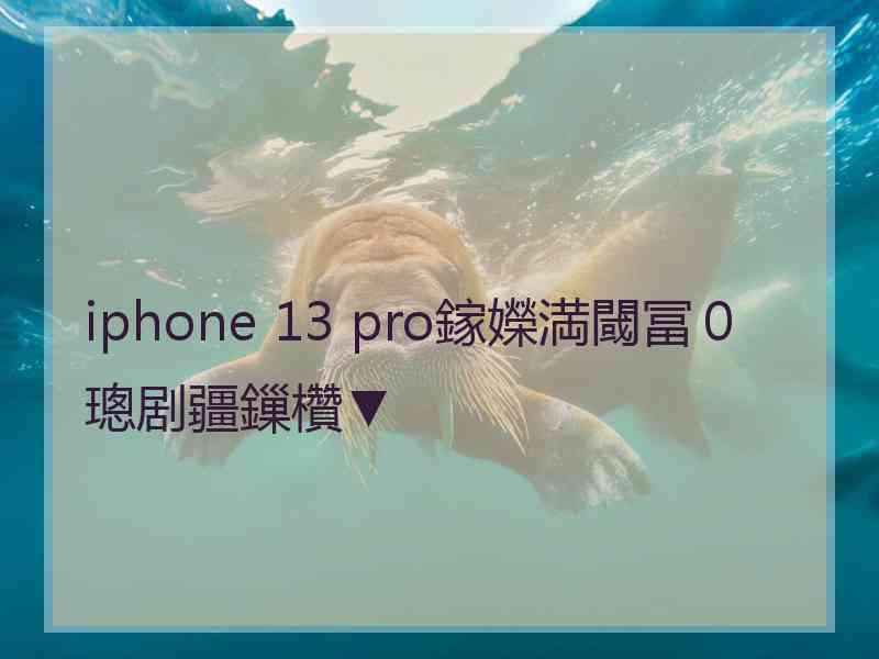 iphone 13 pro鎵嬫満閾冨０璁剧疆鏁欑▼