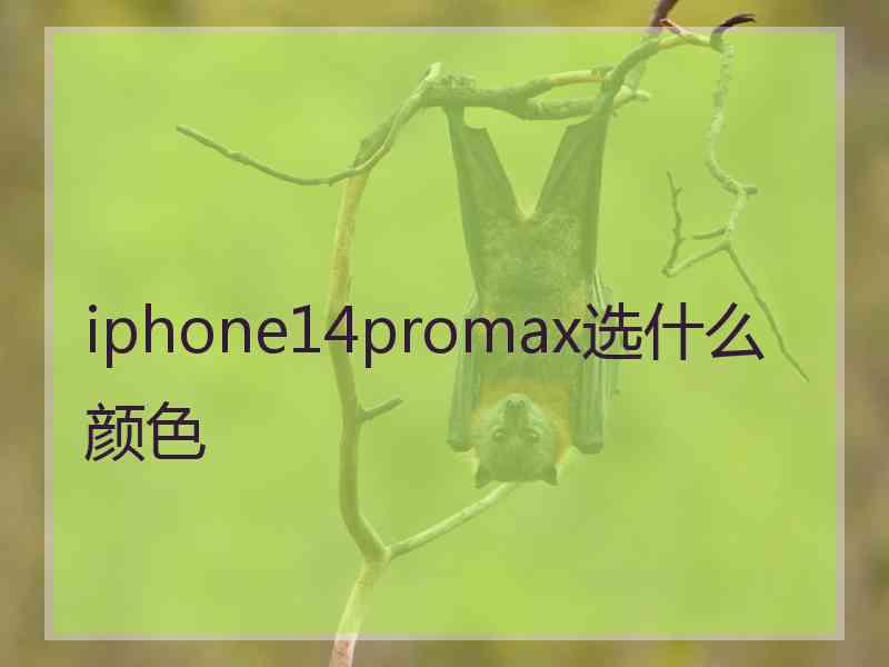 iphone14promax选什么颜色