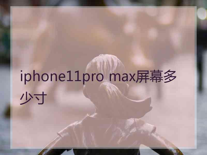 iphone11pro max屏幕多少寸