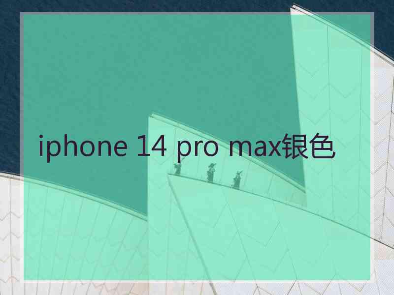 iphone 14 pro max银色