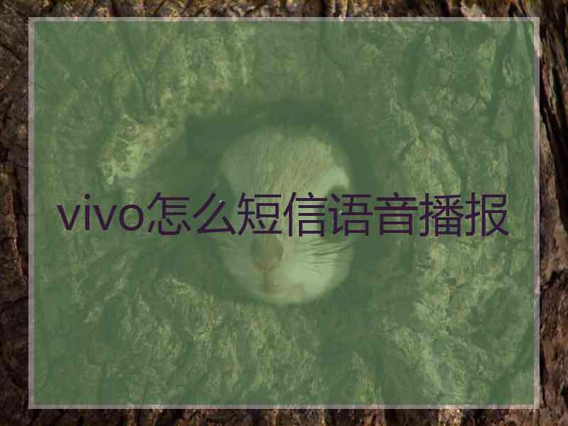 vivo怎么短信语音播报