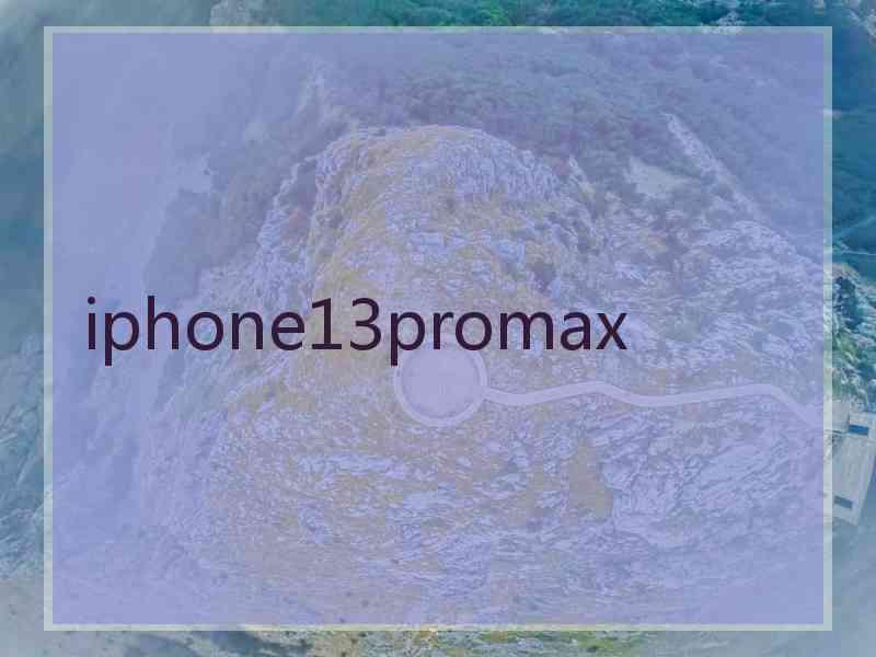 iphone13promax