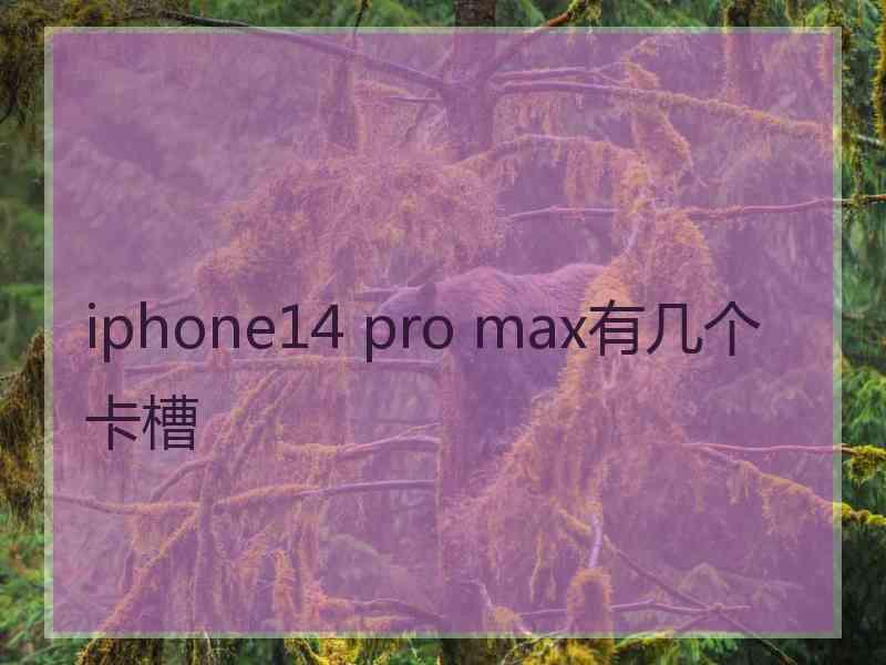 iphone14 pro max有几个卡槽