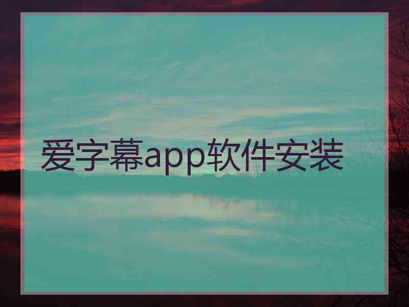 爱字幕app软件安装