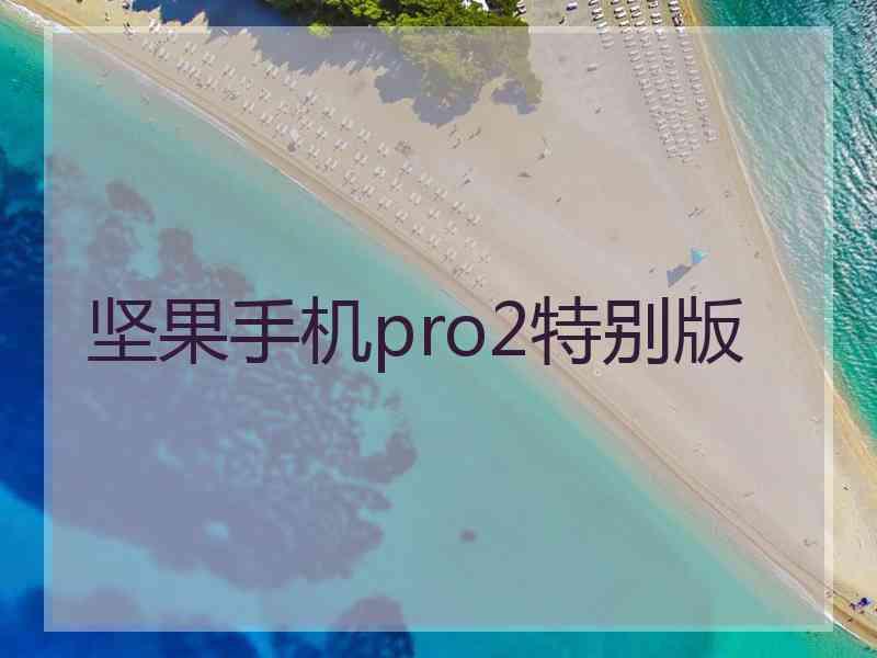 坚果手机pro2特别版