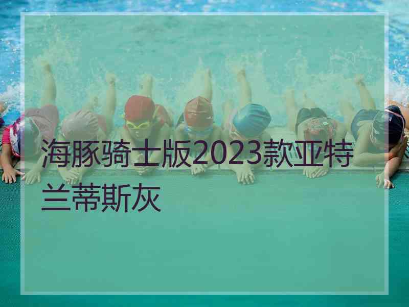 海豚骑士版2023款亚特兰蒂斯灰