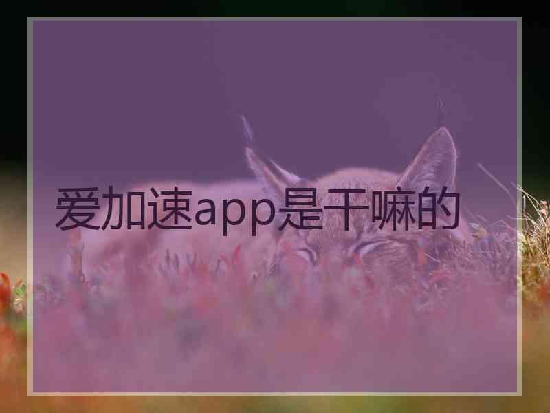 爱加速app是干嘛的