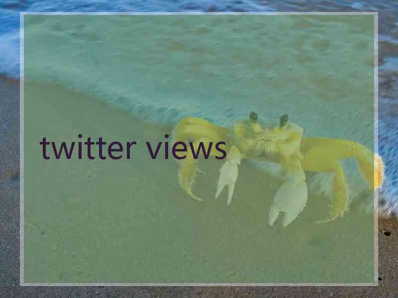 twitter views