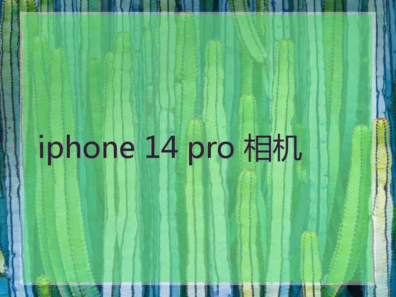 iphone 14 pro 相机