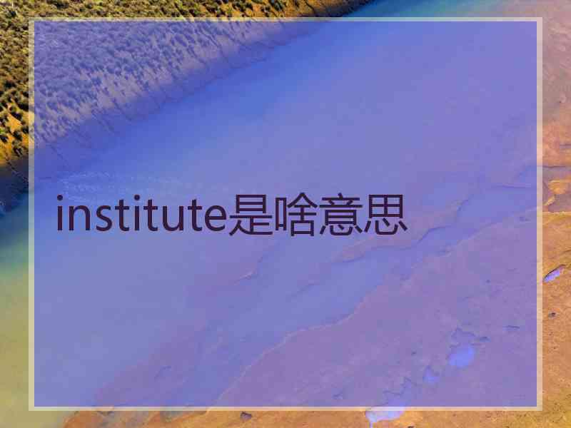 institute是啥意思