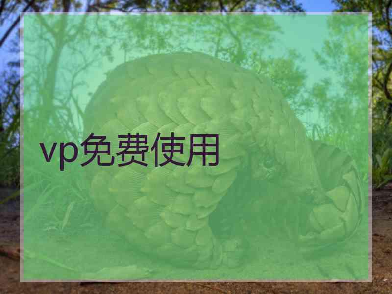 vp免费使用