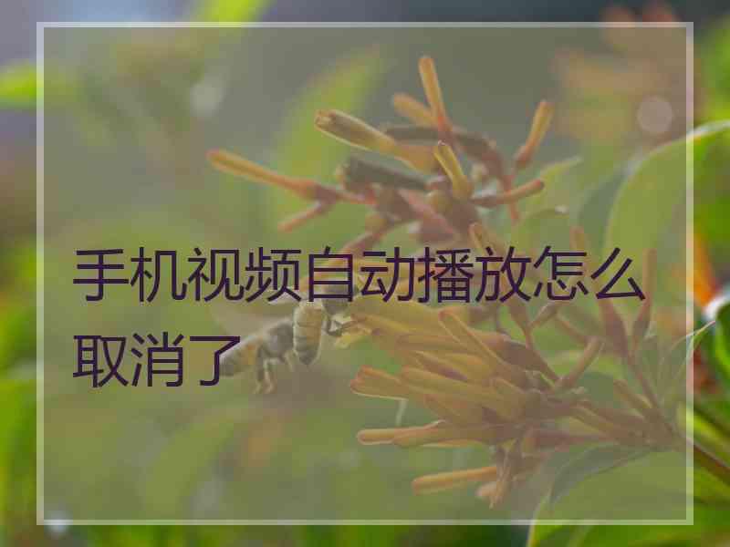 手机视频自动播放怎么取消了