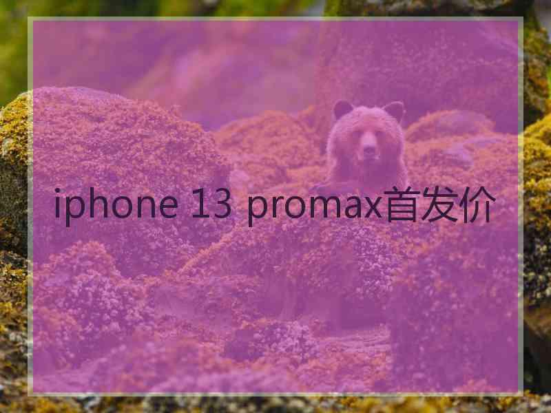 iphone 13 promax首发价