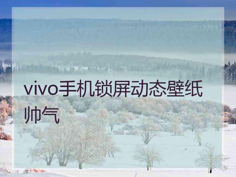 vivo手机锁屏动态壁纸帅气